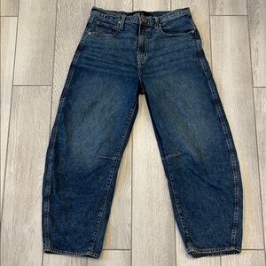 GAP Denim Barrel Blue Jeans-Size 8/29 Regular